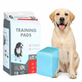 Pads Entrenadores Absorbentes para Perros x40 unidades
